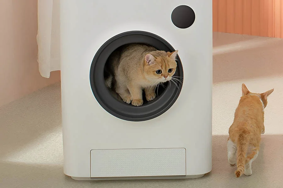 best multi cat automatic litter box